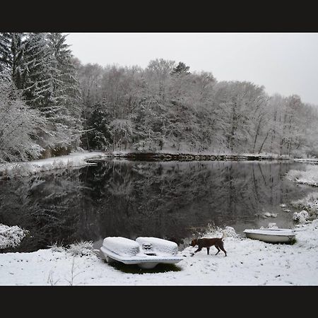 Cabane Limousine Au Bord D'Un Etang Bonnac-la-Côte Exteriér fotografie