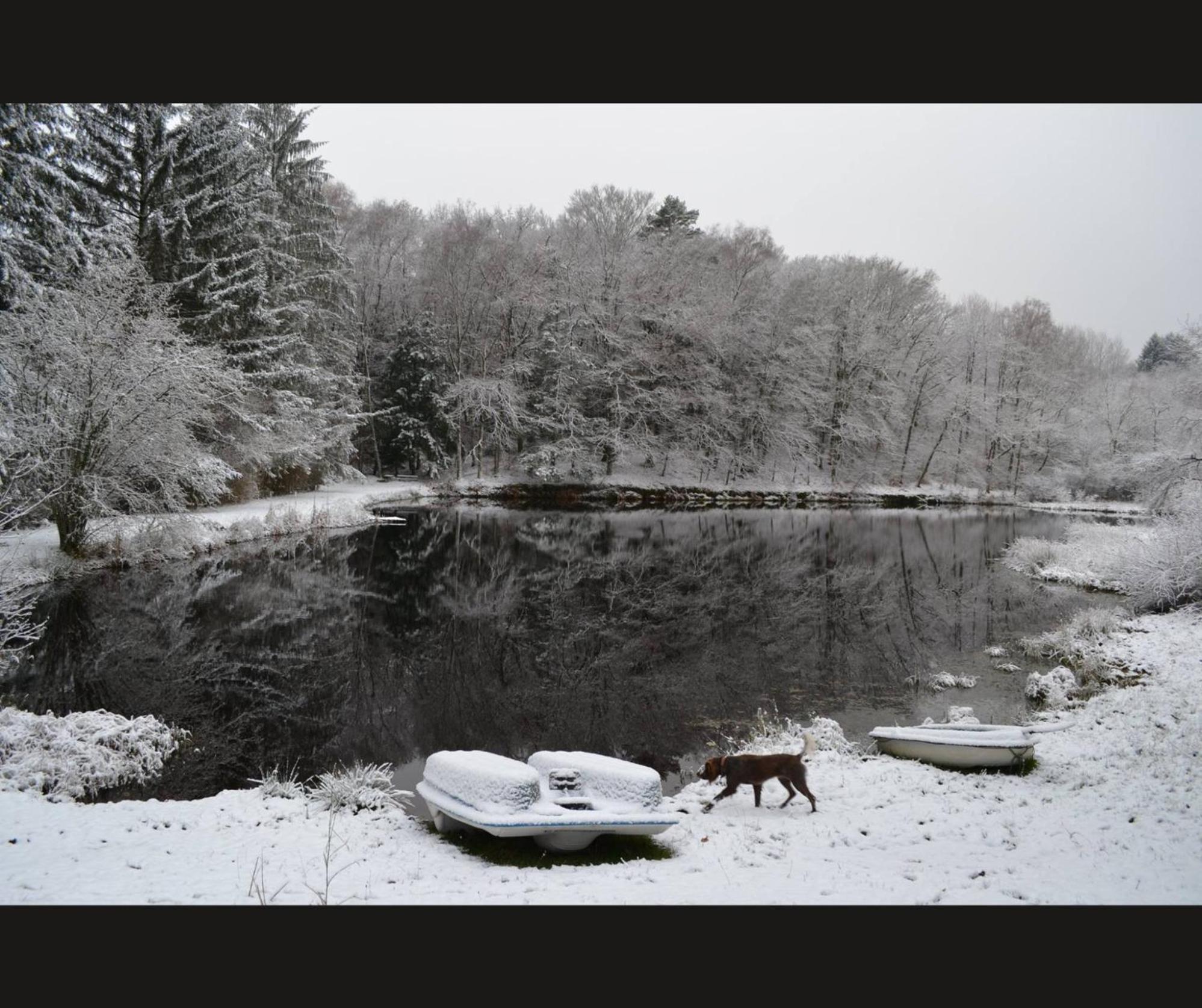 Cabane Limousine Au Bord D'Un Etang Bonnac-la-Côte Exteriér fotografie