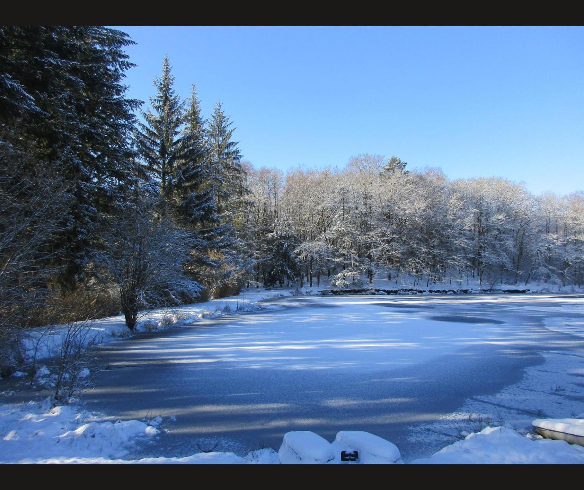 Cabane Limousine Au Bord D'Un Etang Bonnac-la-Côte Exteriér fotografie
